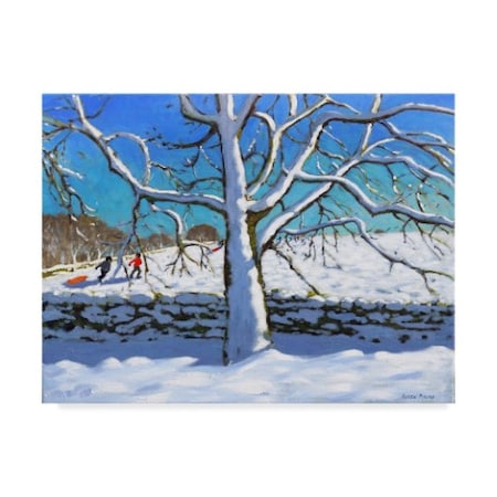 Andrew Macara 'Tree In Winter' Canvas Art,24x32